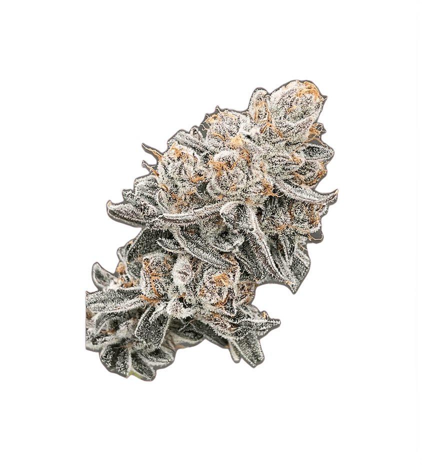 Pre-Rolls | Cherry Bomb | 1 g