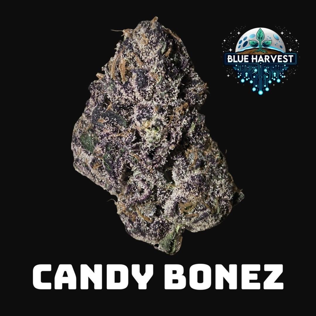 Wholes | Candy Bonez