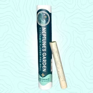 Apple Pie | 1pk