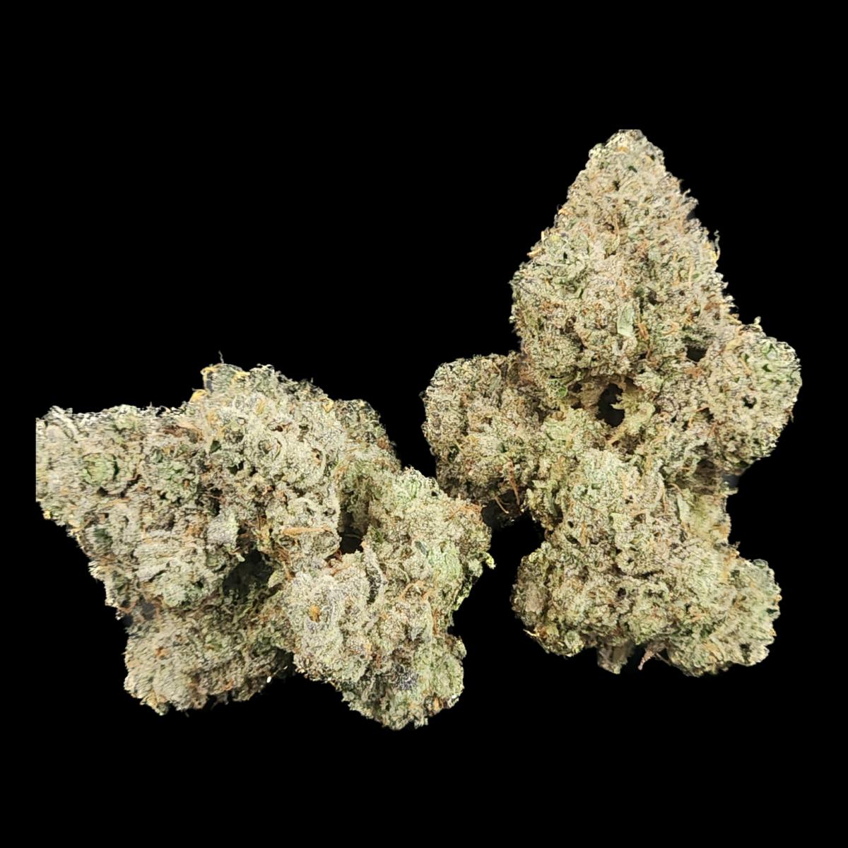 Double Cherry Crescendo 3.5G