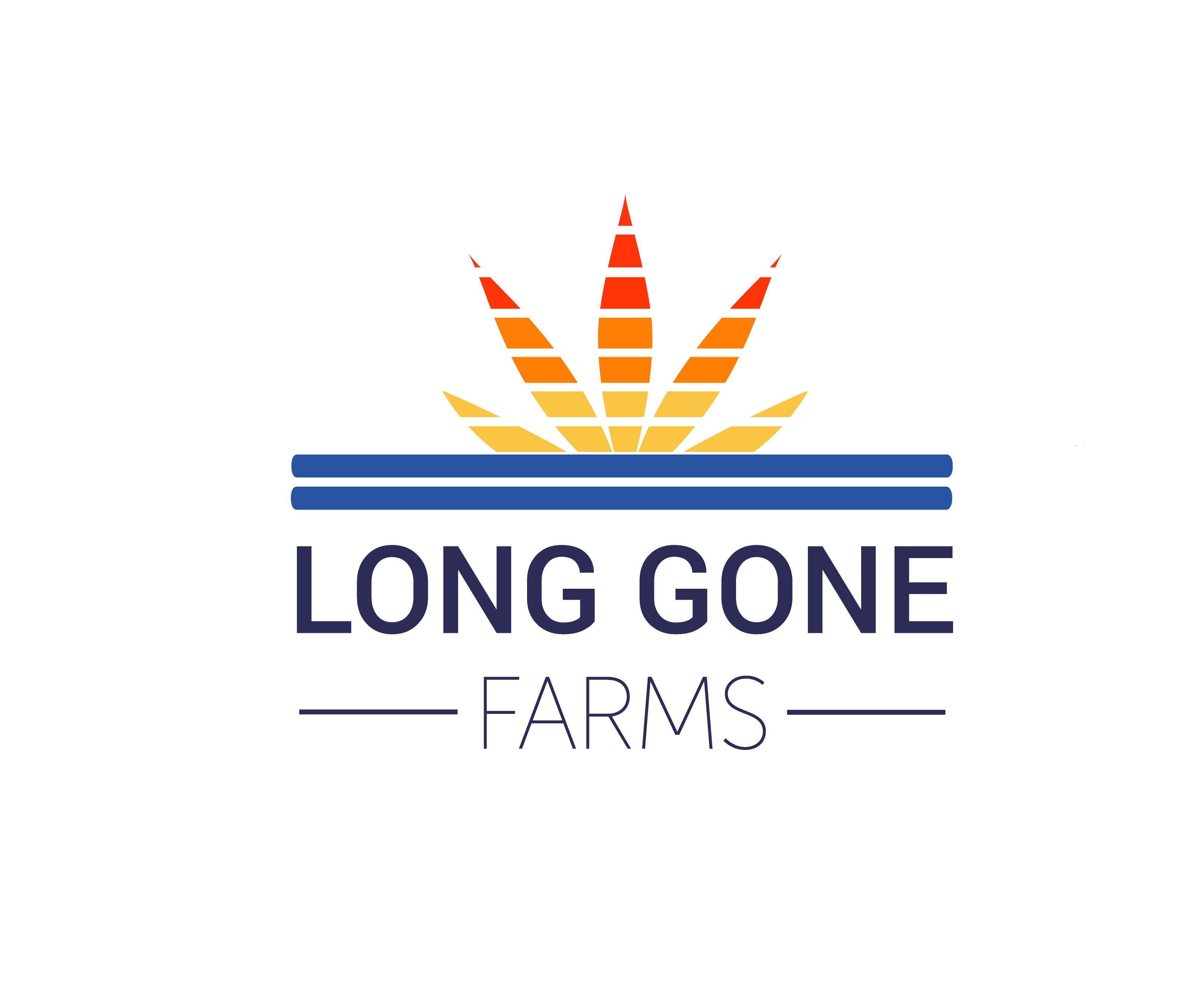 LGF | Zkittles OG (Small Buds)