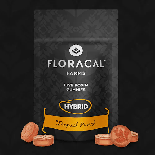 Floracal | Tropical Punch | 100mg Gummies | 10 Pack