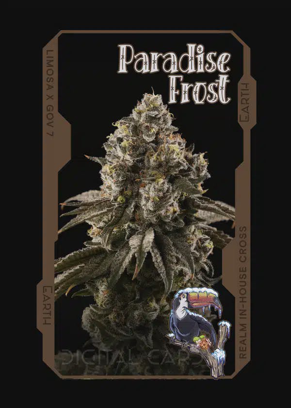 Paradise Frost | 7g | Indica