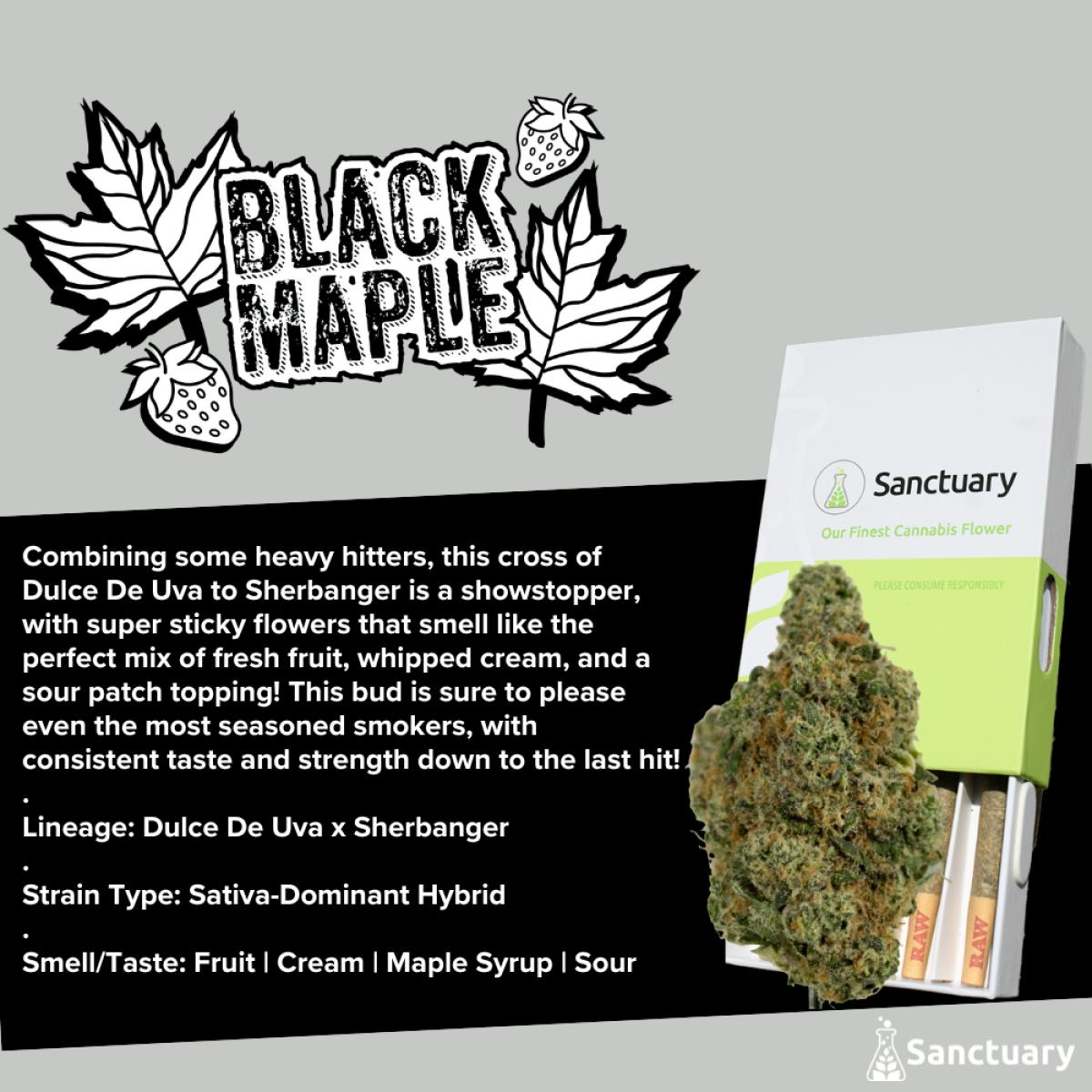 Black Maple | 0.5g Pre-Rolls | 5pk | Sativa Dom. Hybrid