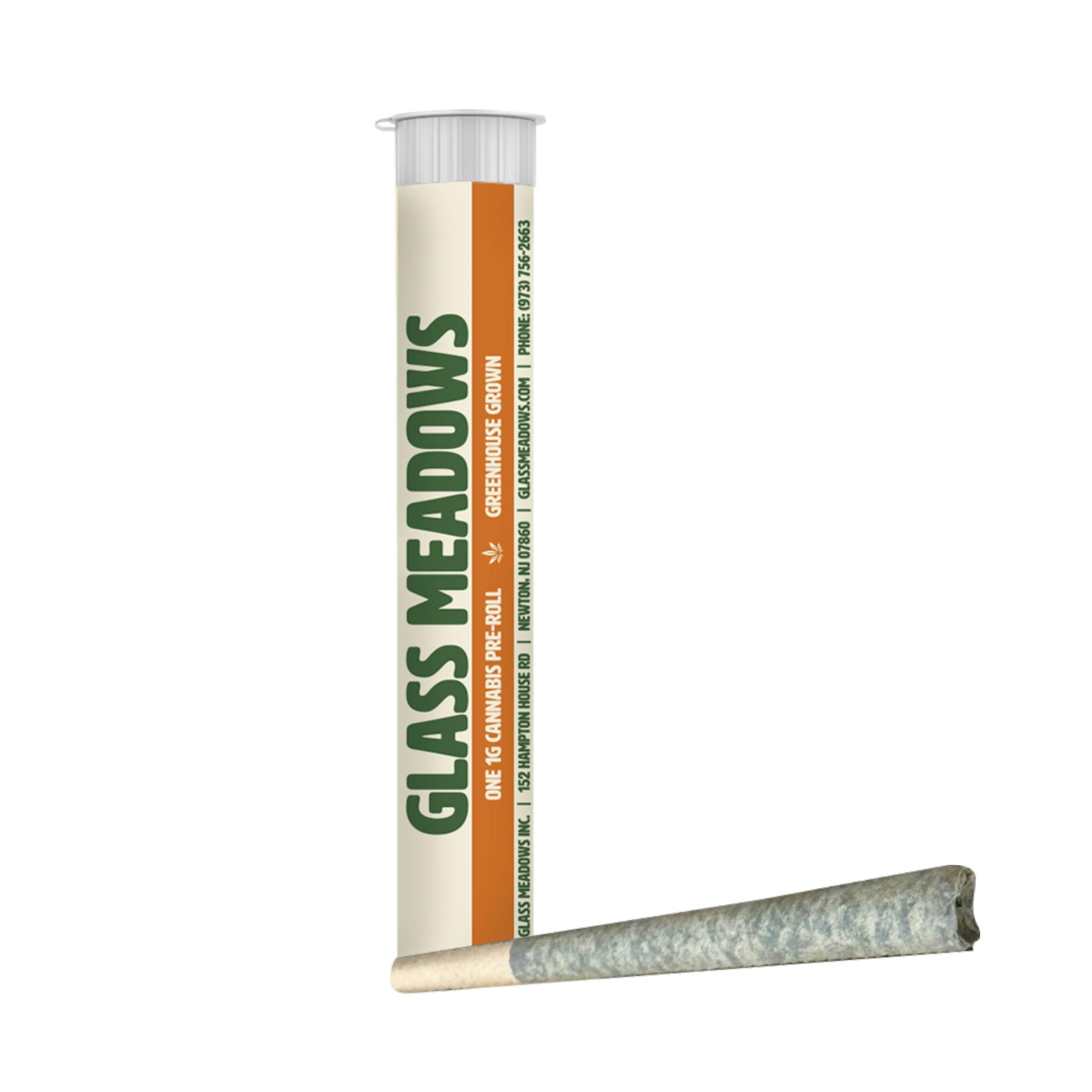 Spritz Titz | 1pk