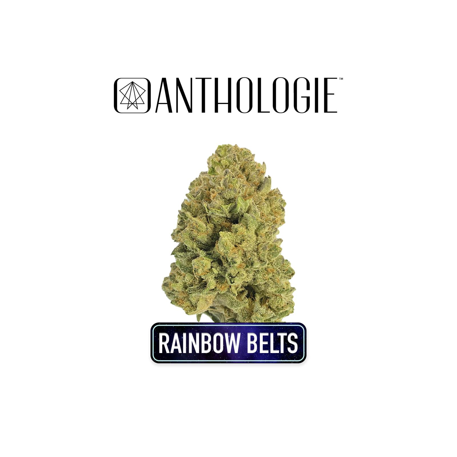 Whole Bud | Rainbow Belts 3.0