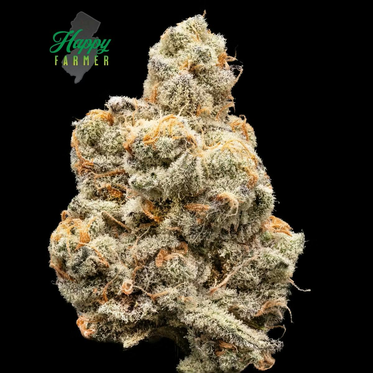 Wholes | Sugar Cane