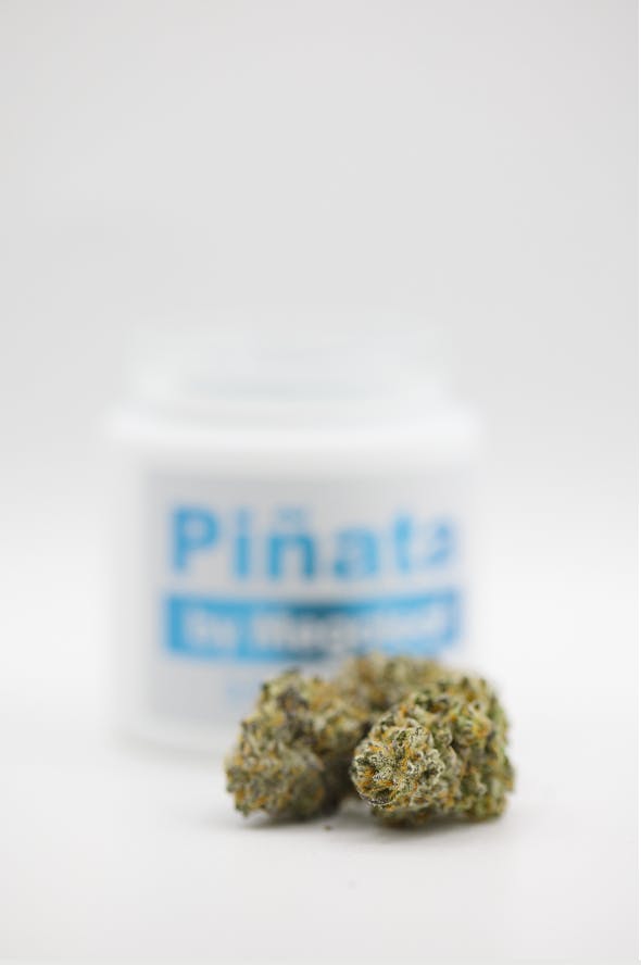 Wholes | Pinata