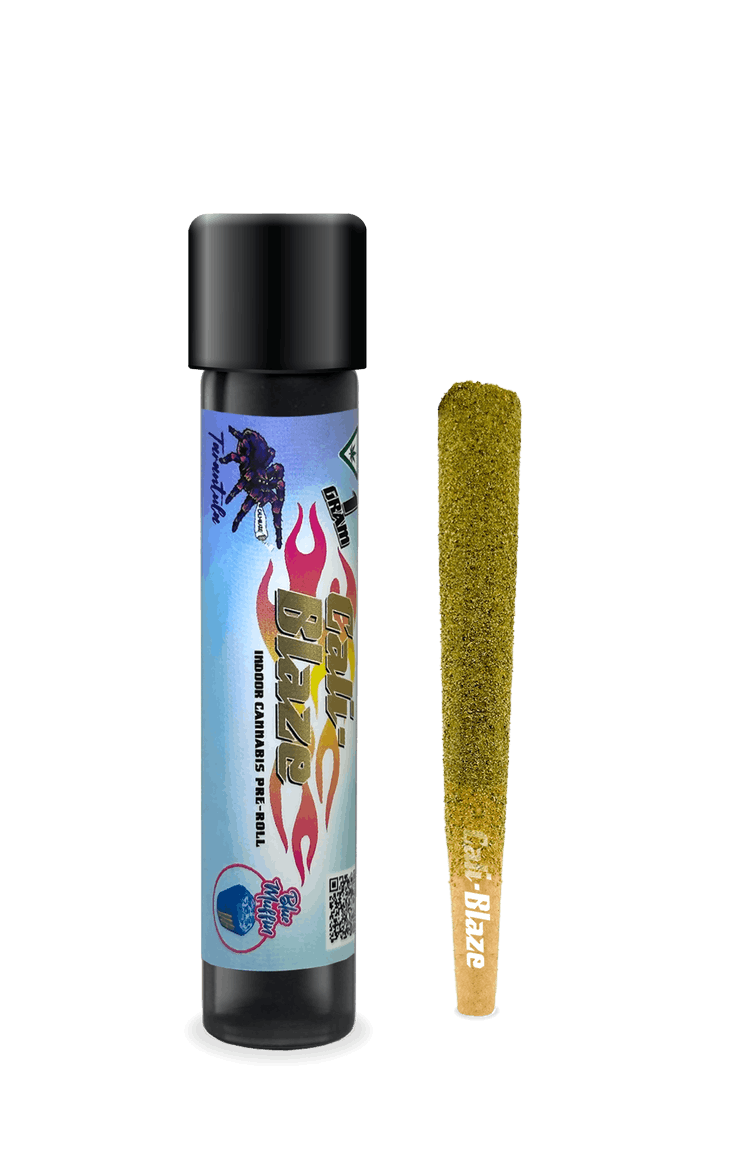 Blue Muffin | 1g Tarantula PreRoll | Infused