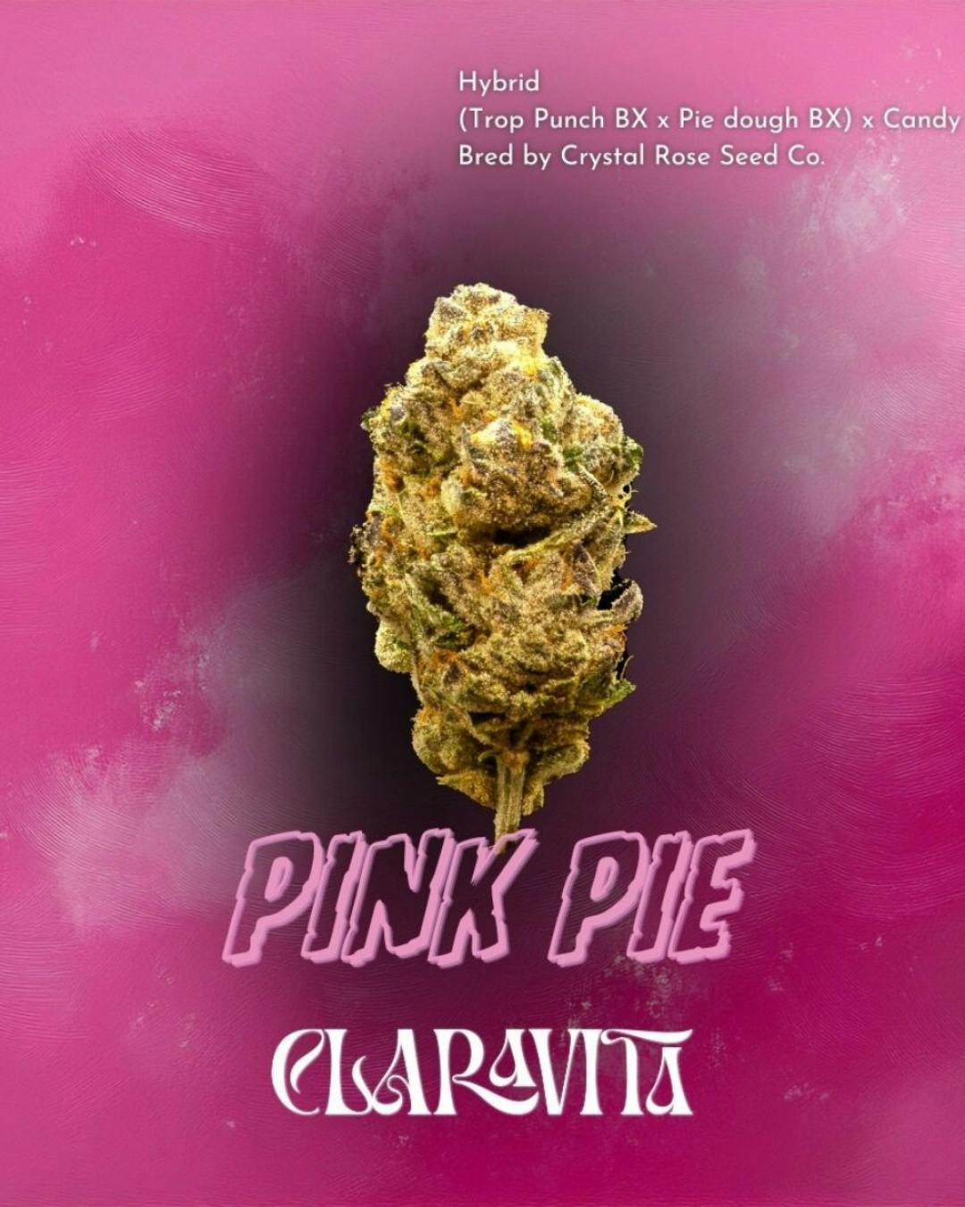 Claravita | Pink Pie | 14g Flower