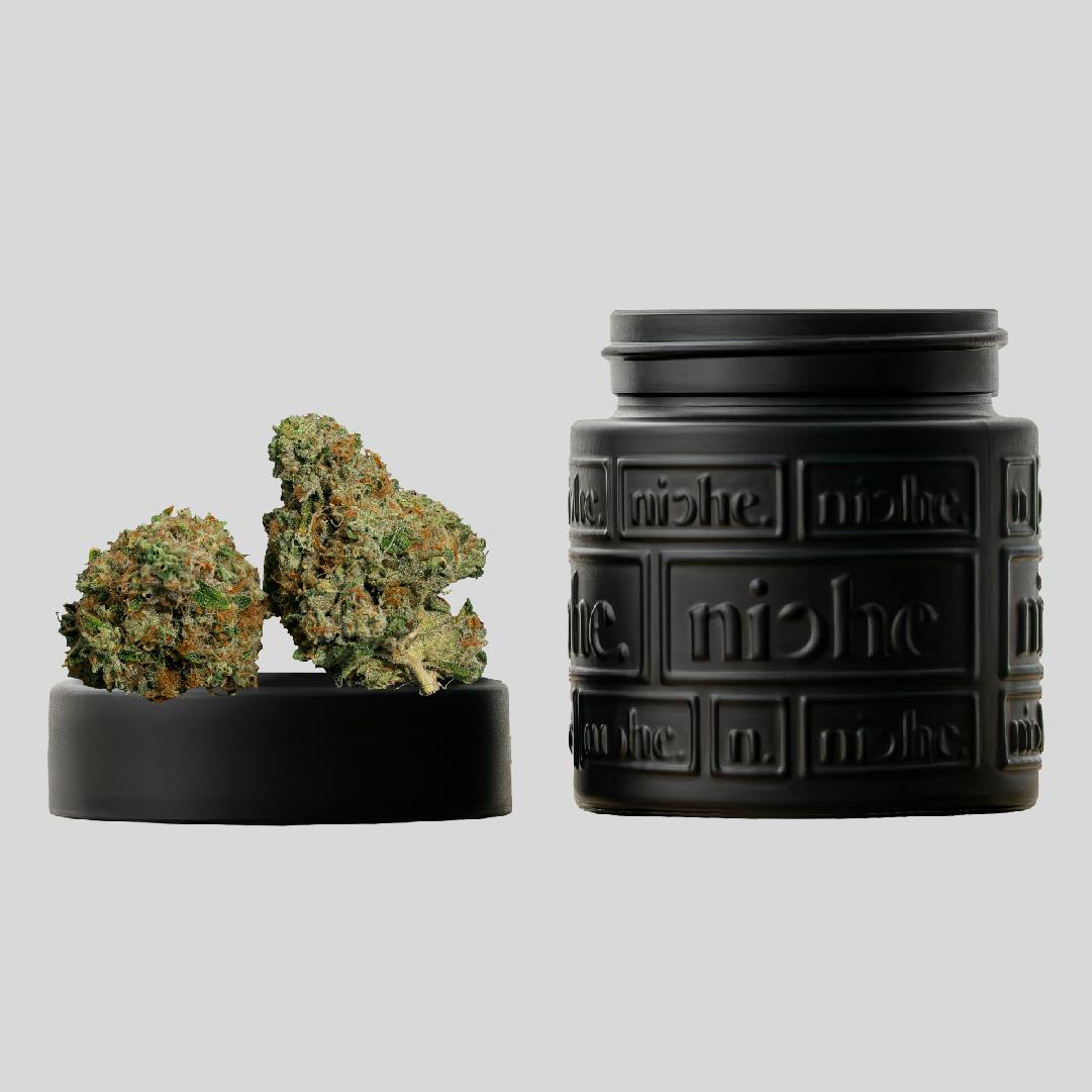 Wholes | Josh D OG X Niche | OG Kiss