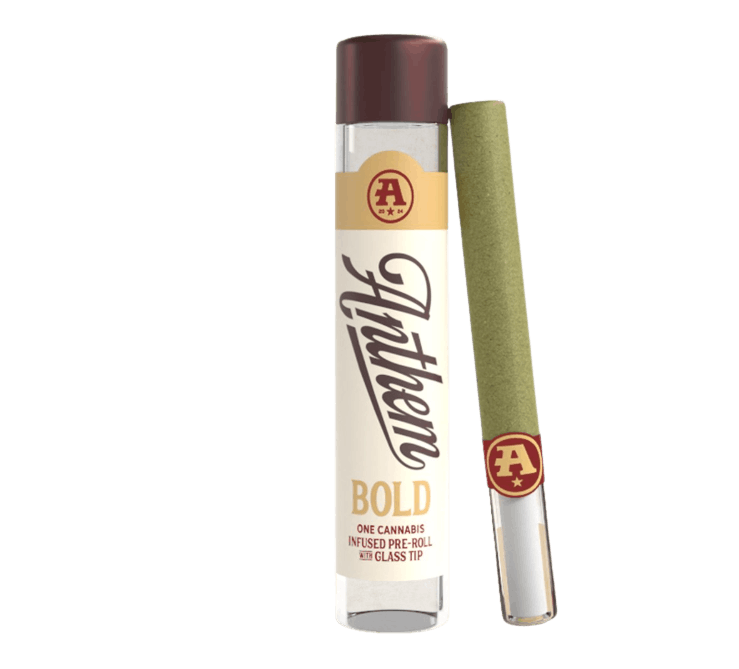 Infused Pre-Rolls | Bold With Glass Tip | Tangie Dream | 1 g