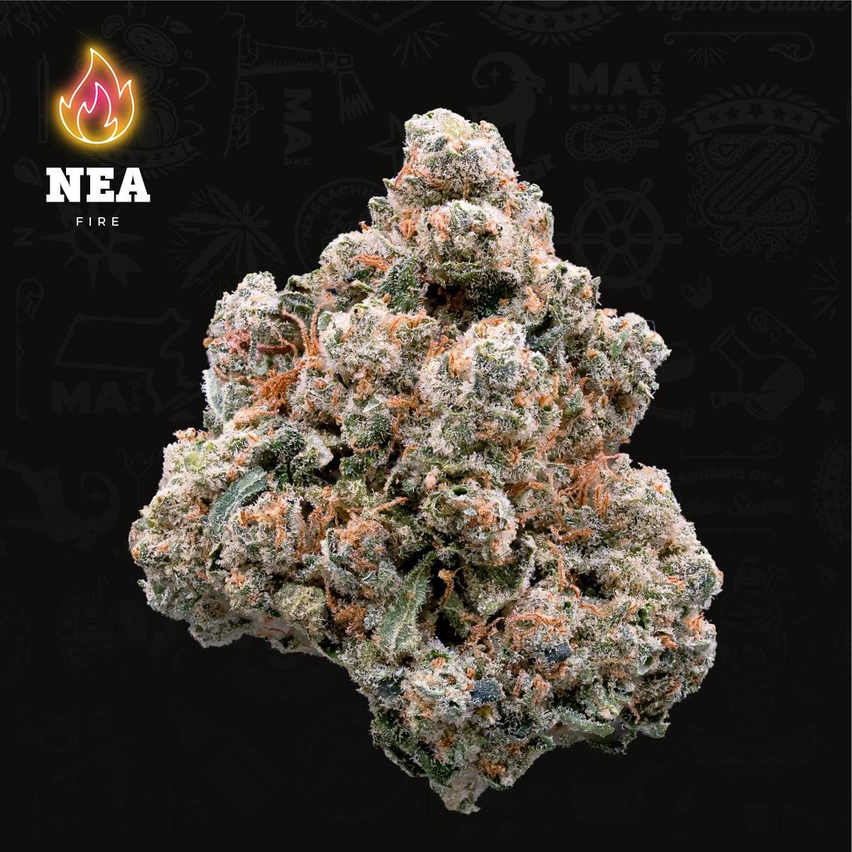 NEA | Zsweet Inzanity | 3.5g Flower