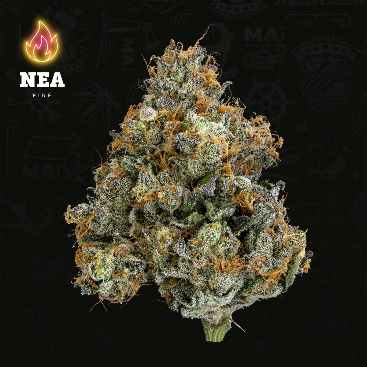 NEA | Lava Cake | 3.5g Flower