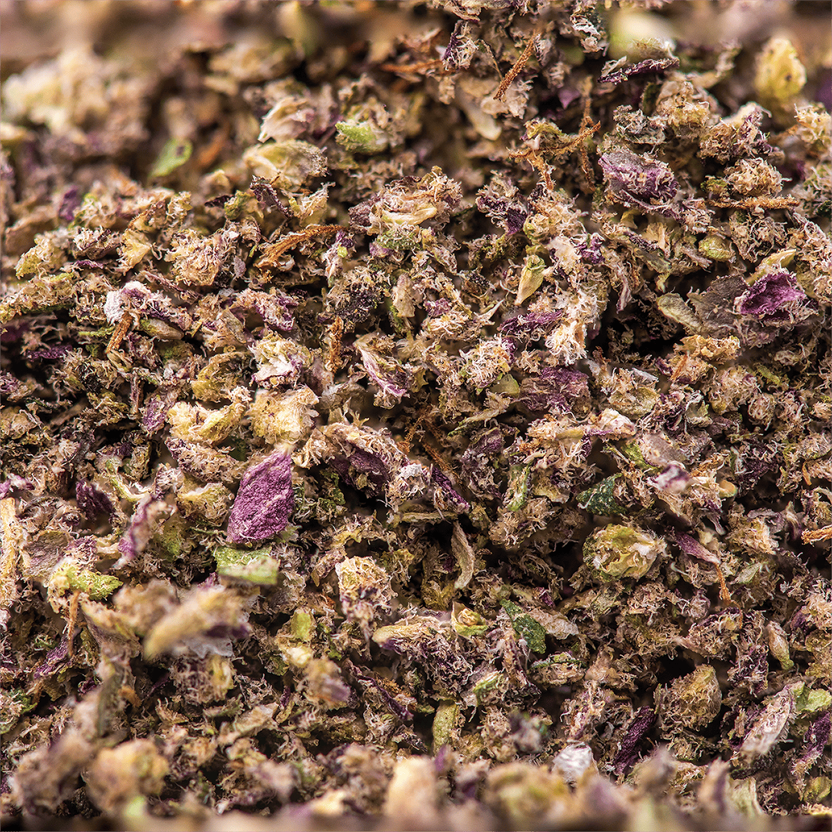 D Sailor | 3.5g | Infused Pre-Ground | Hybrid