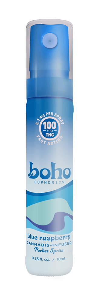 Pocket Spritz - Blue Raspberry - 100mg Bottle