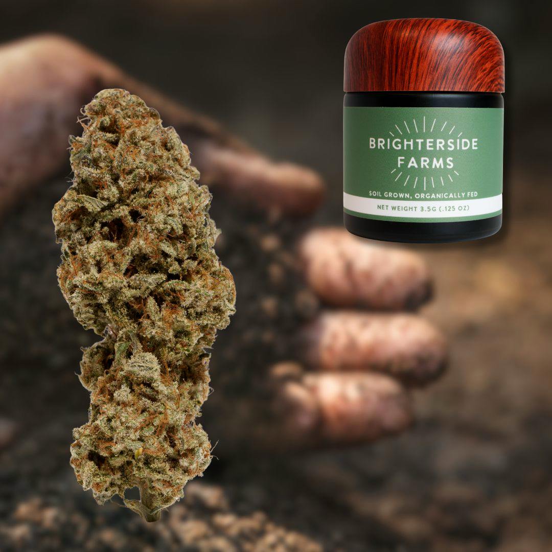 Free Mac | 3.5G Flower