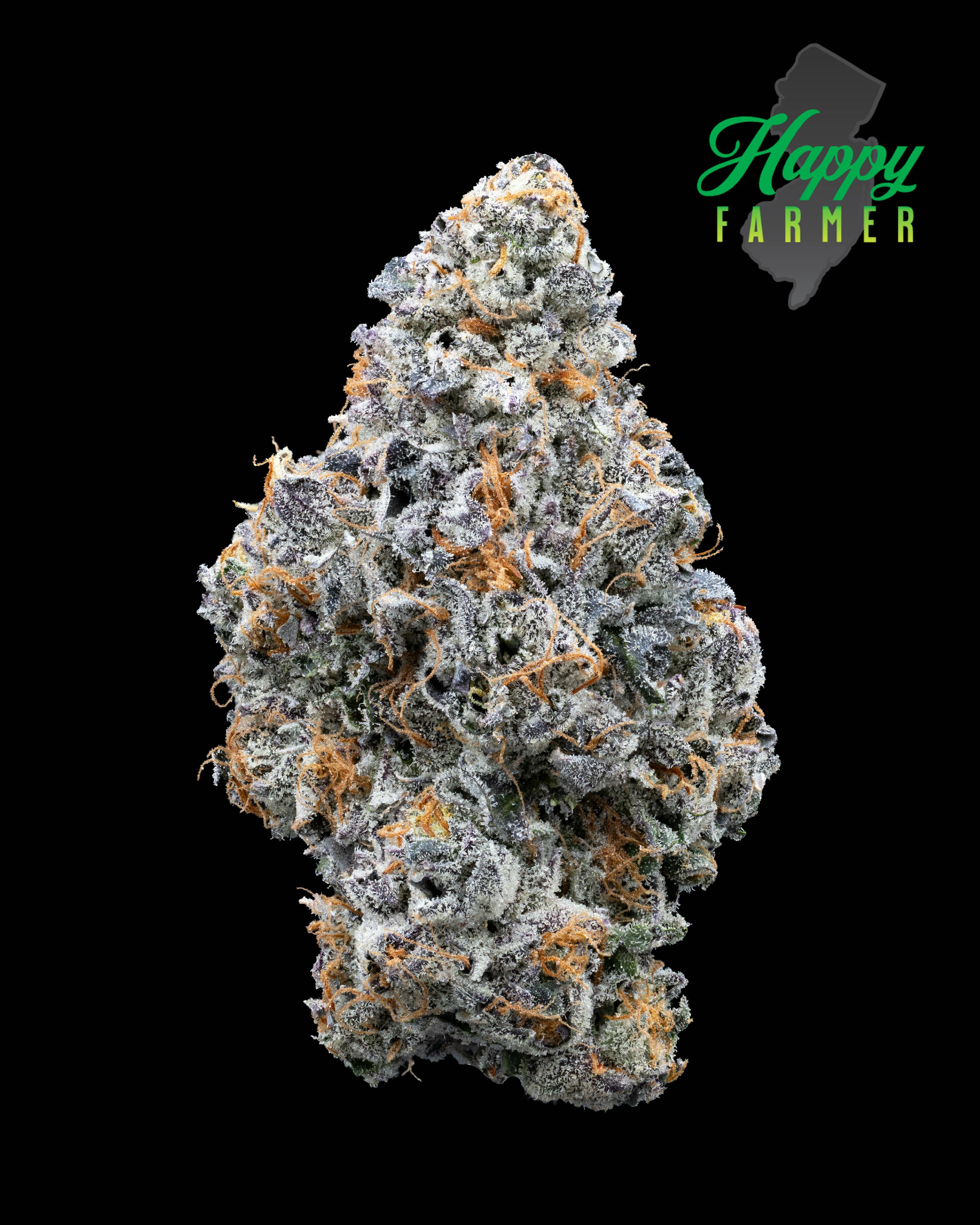 Lemon Cherry Fritter - 3.5g