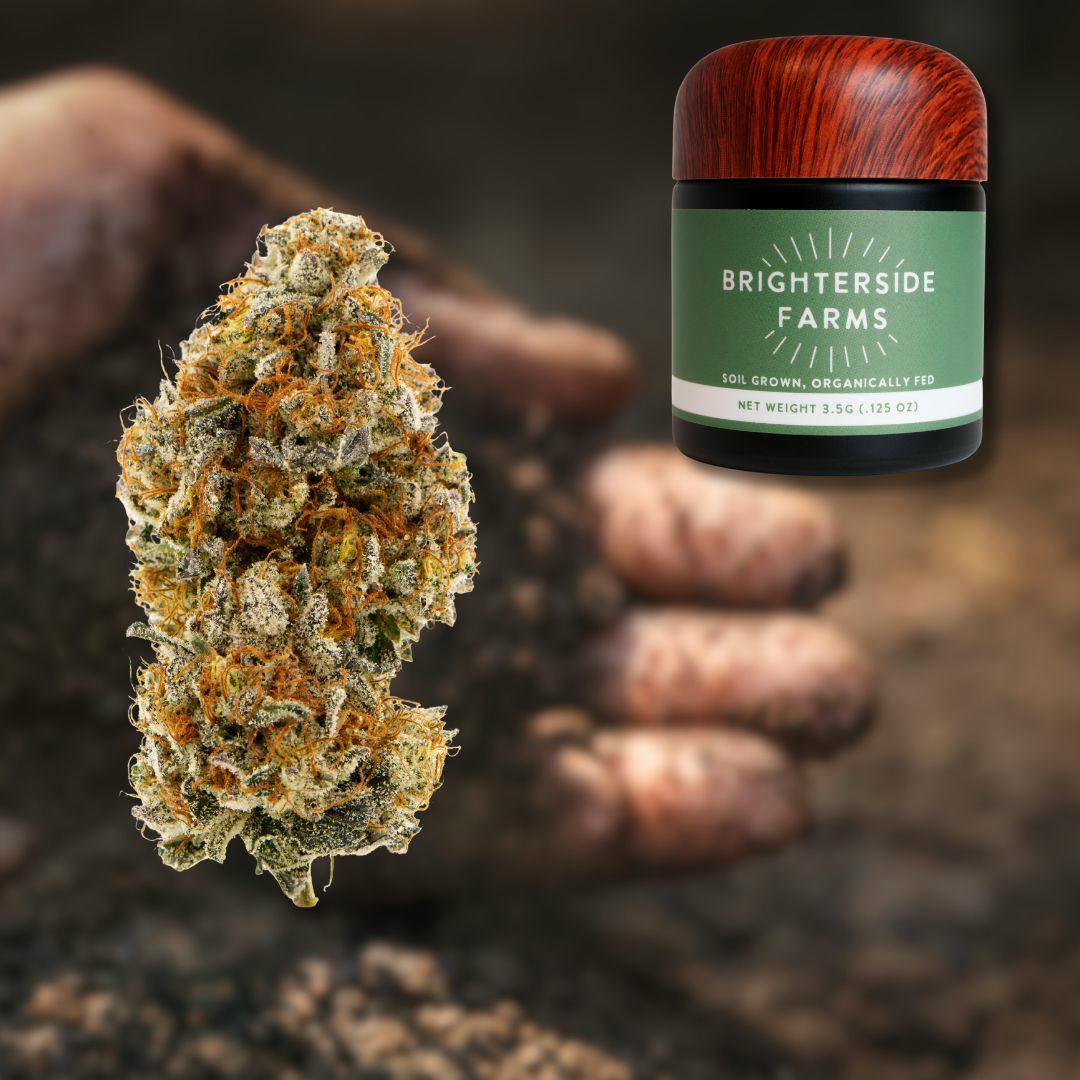 Dark Rainbow - 3.5g Flower
