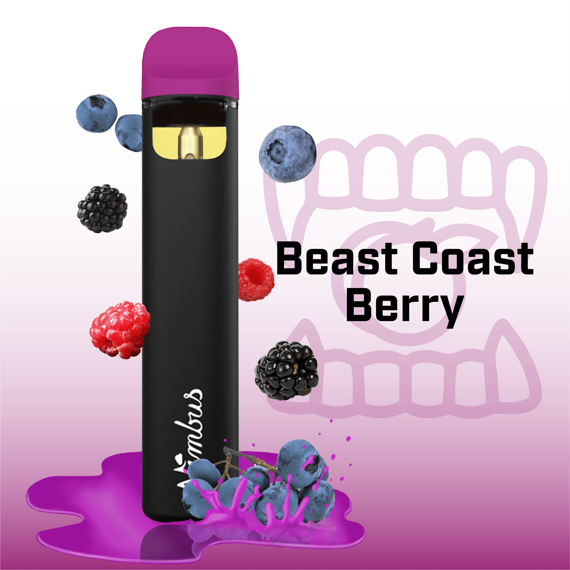 Beast Coast Berry - 1.0g Disposable