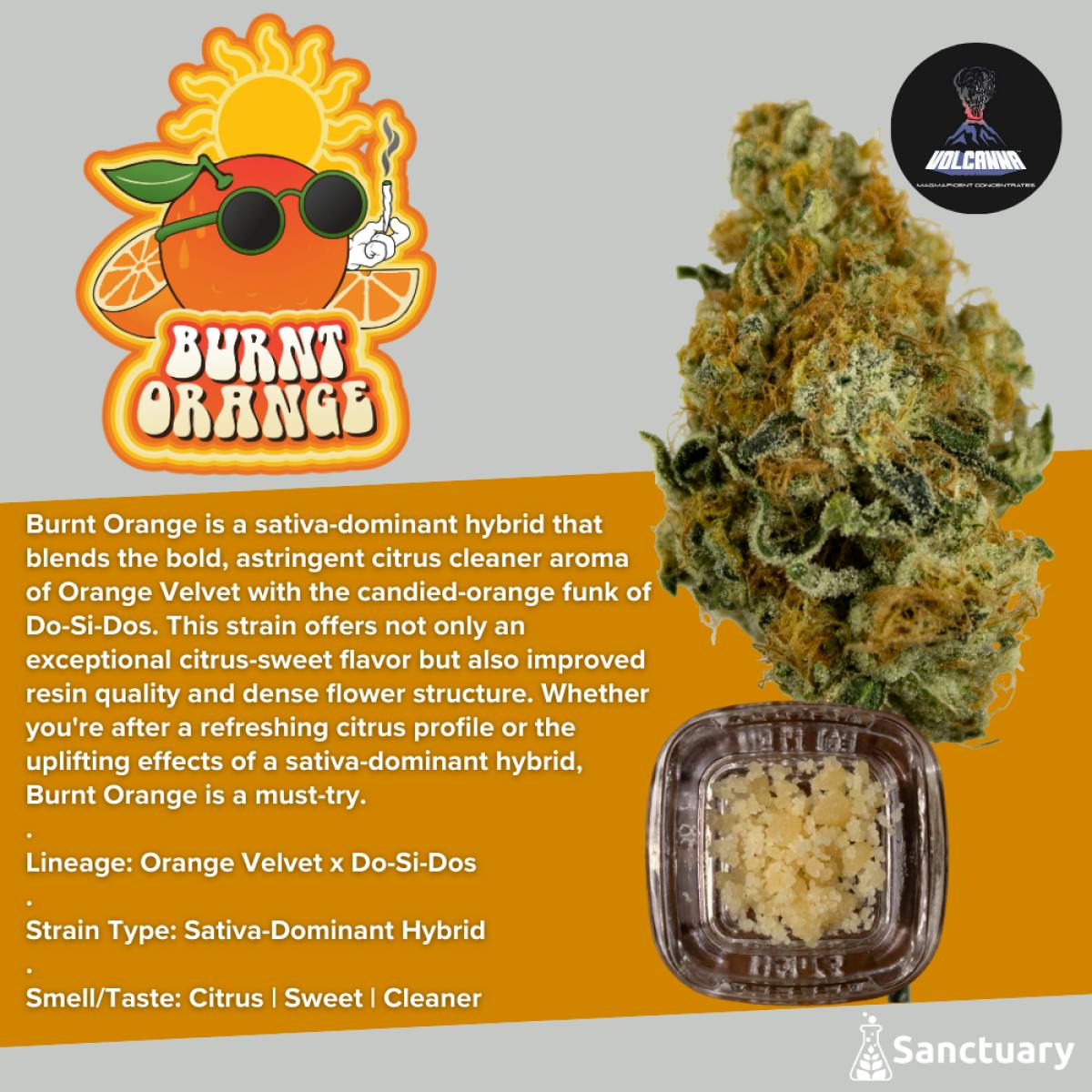 Burnt Orange | 1g | Crumble | Sativa Dom. Hybrid