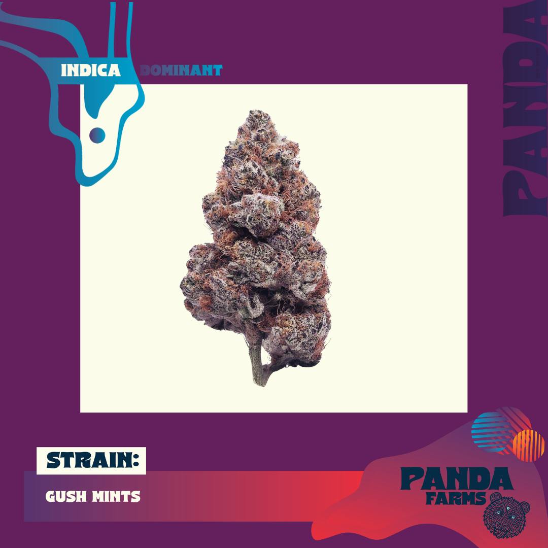 Gush Mints | 3.5G Flower