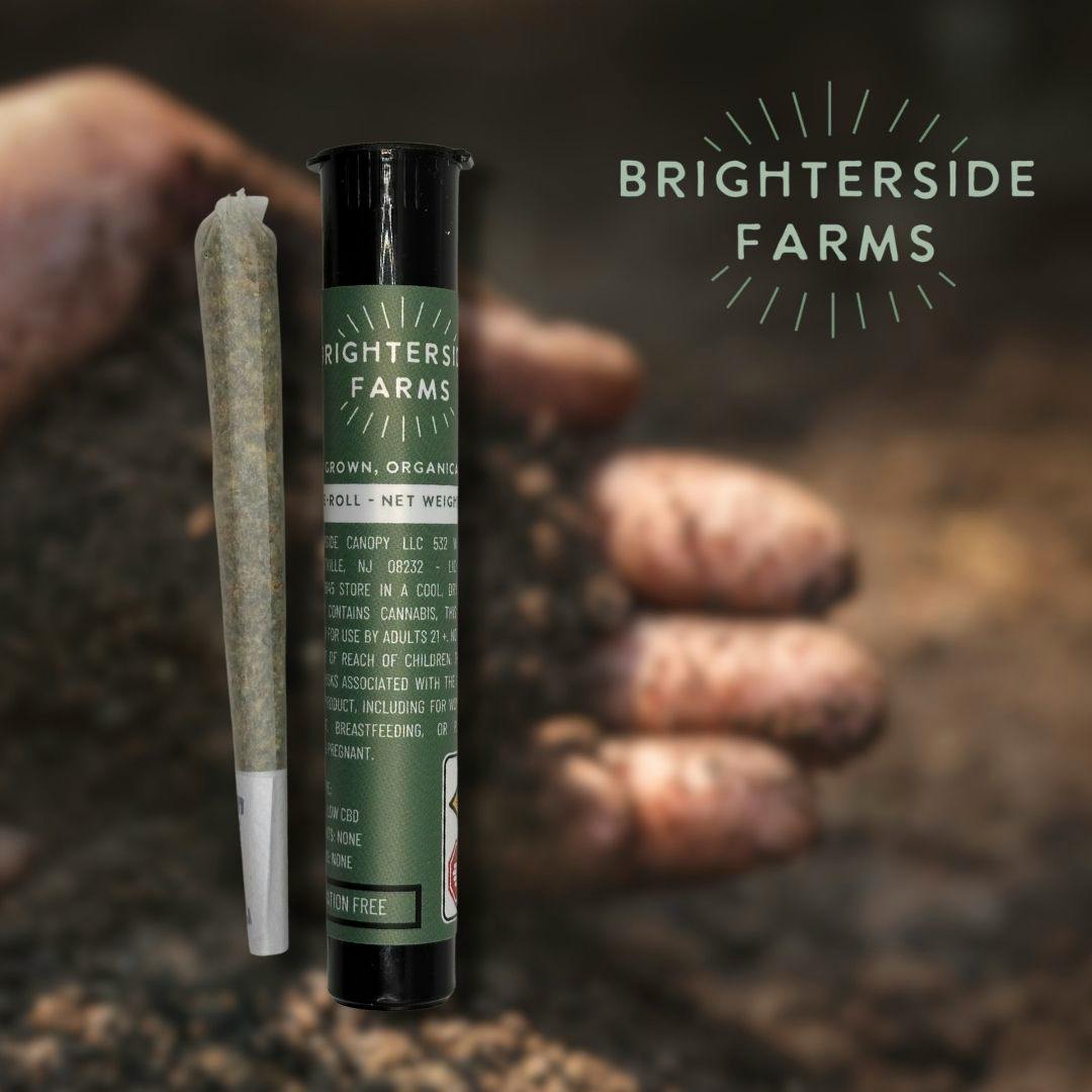 Cream Cake | 1G Pre-Roll | 1pk