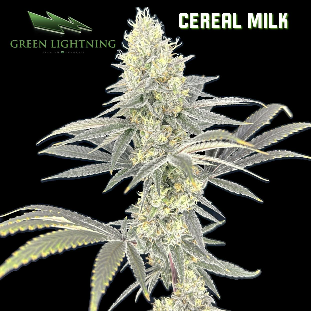 Green Lightning | Cereal Milk | Flower | 3.5g (H)