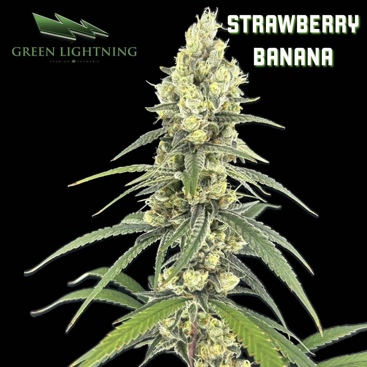 Strawberry Banana | 7G Small Buds