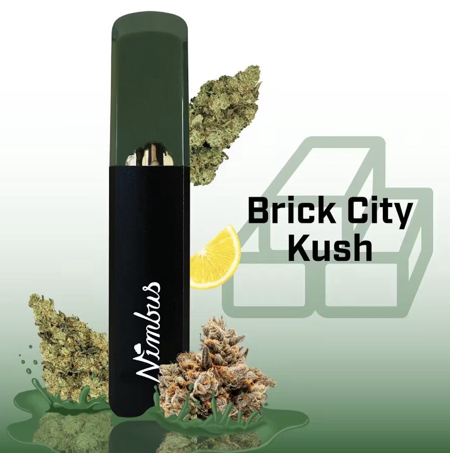 Brick City Kush - 0.5g Disposable
