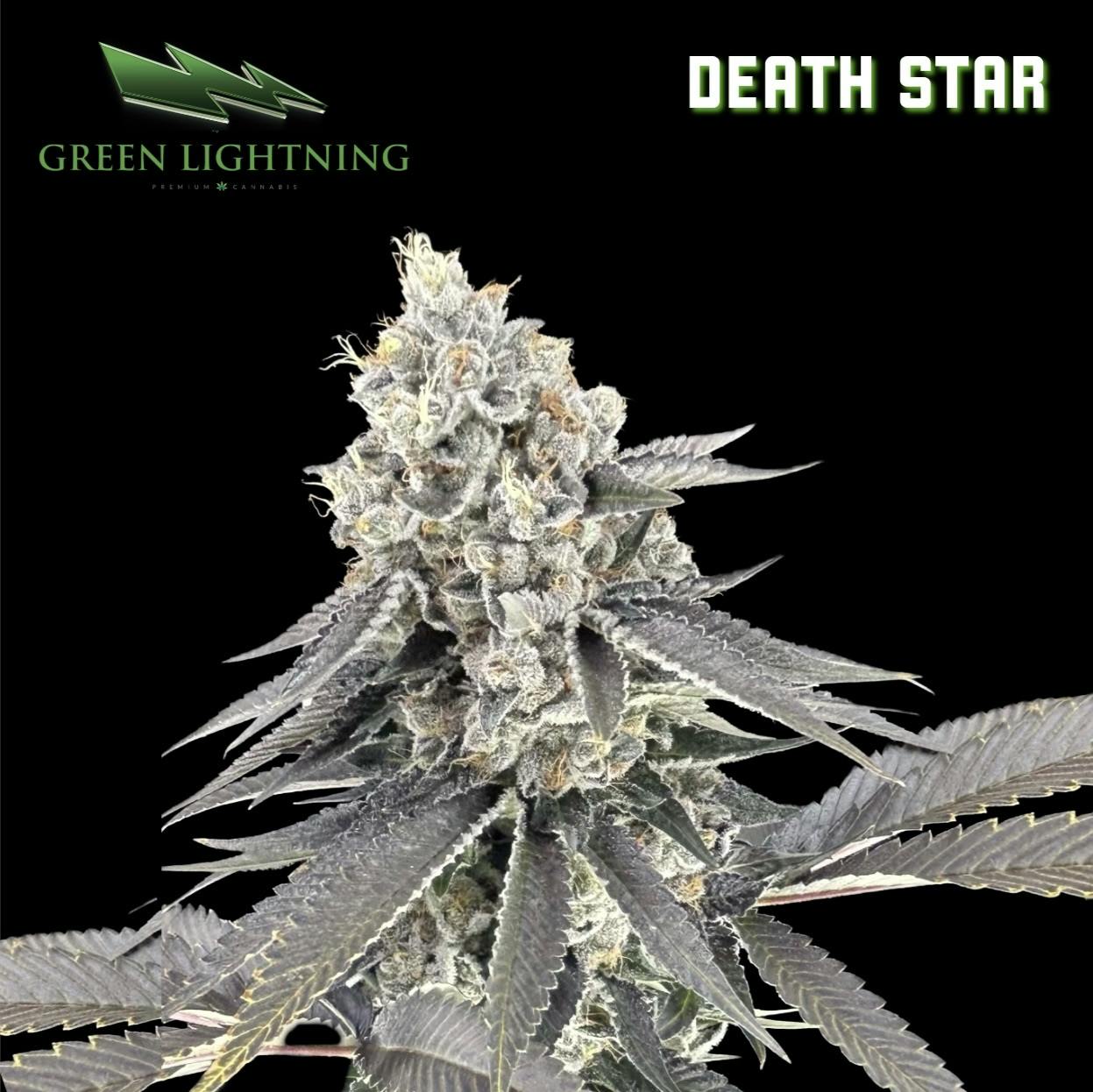 Death Star | 3.5G Flower