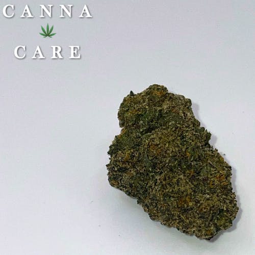 Gelato 33 Prime Farms Hybrid - Premium Shelf