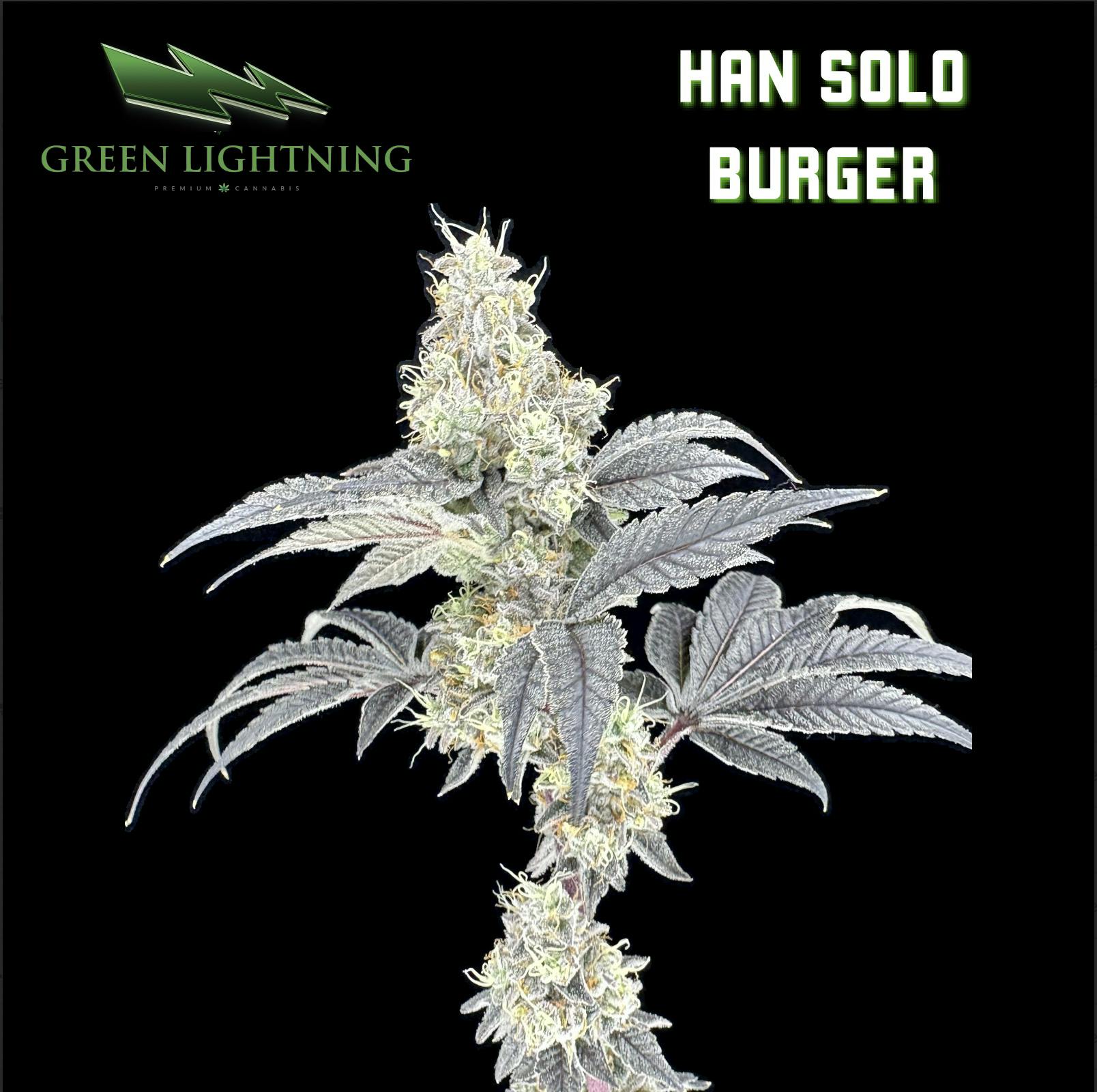Han Solo Burger - 7g Smalls