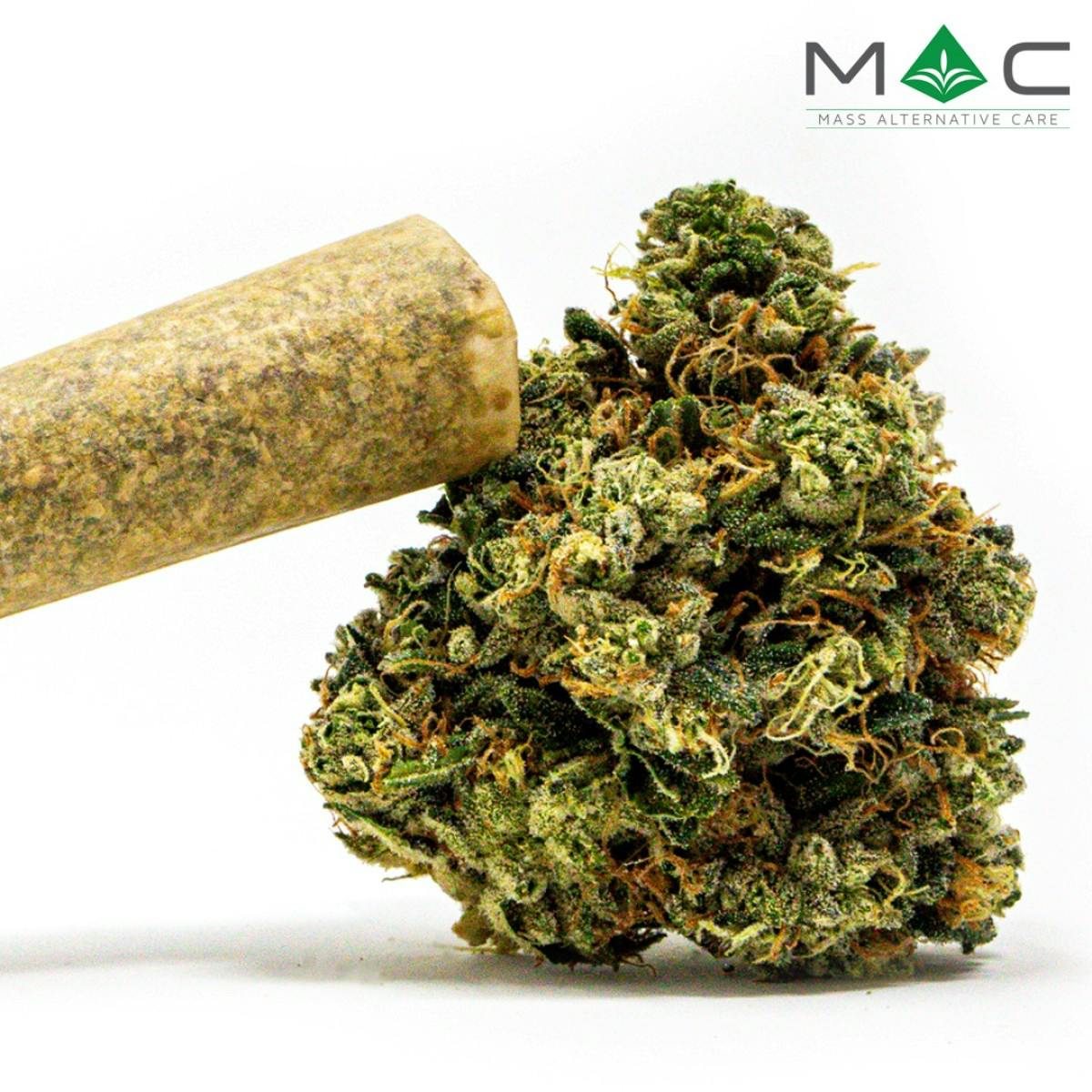 Juniper Jive | 1g Pre-roll | Hybrid