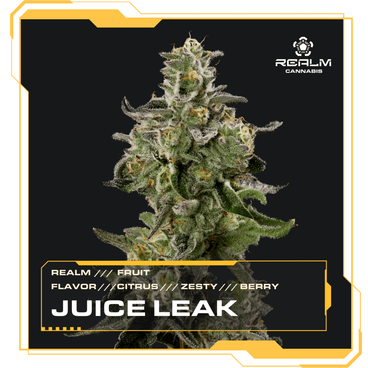Juice Leak | 3.5g | Sativa Dom. Hybrid