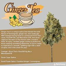 Ginger Tea | 14g | Pre-Ground | Sativa