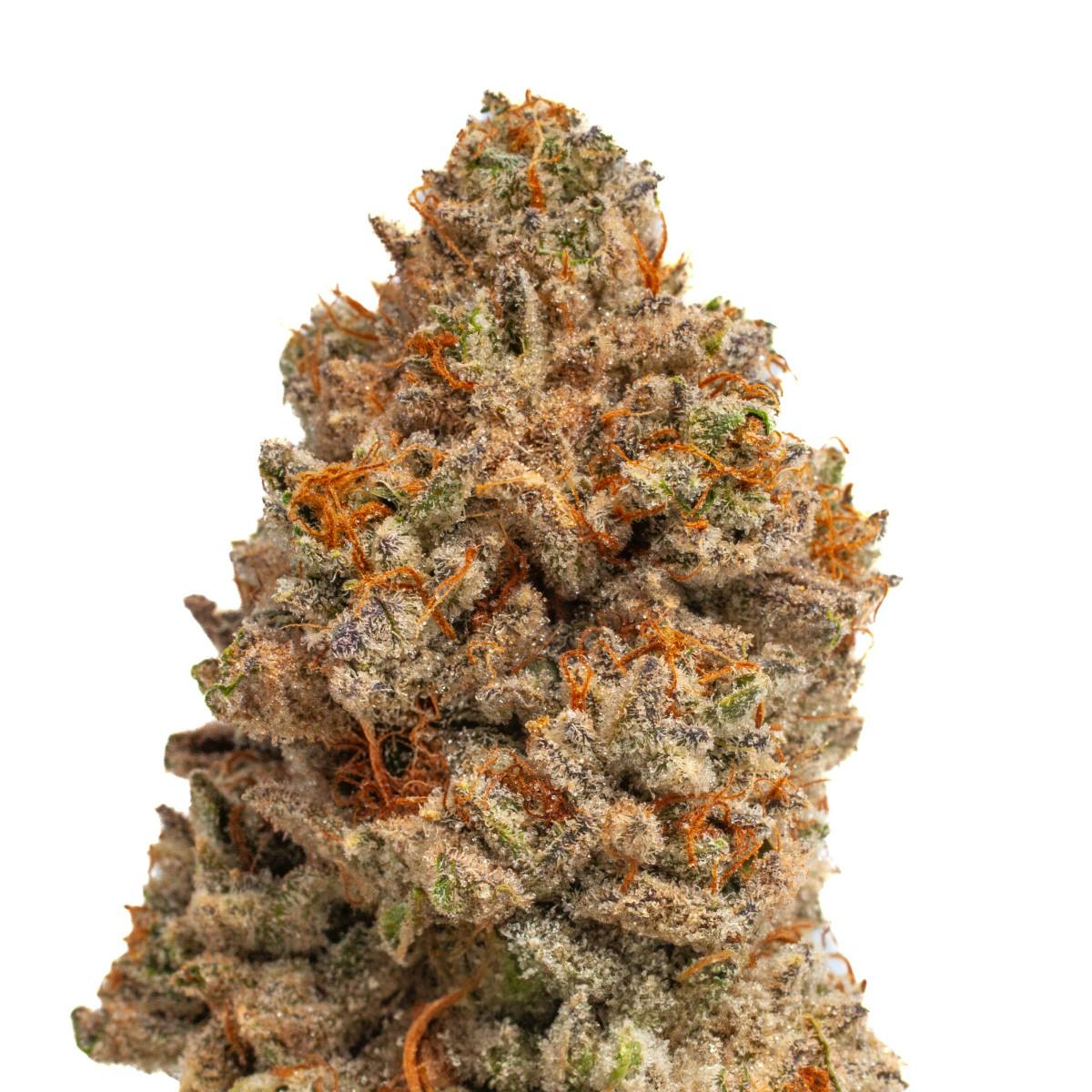 Meringue | 3.5g | Hybrid