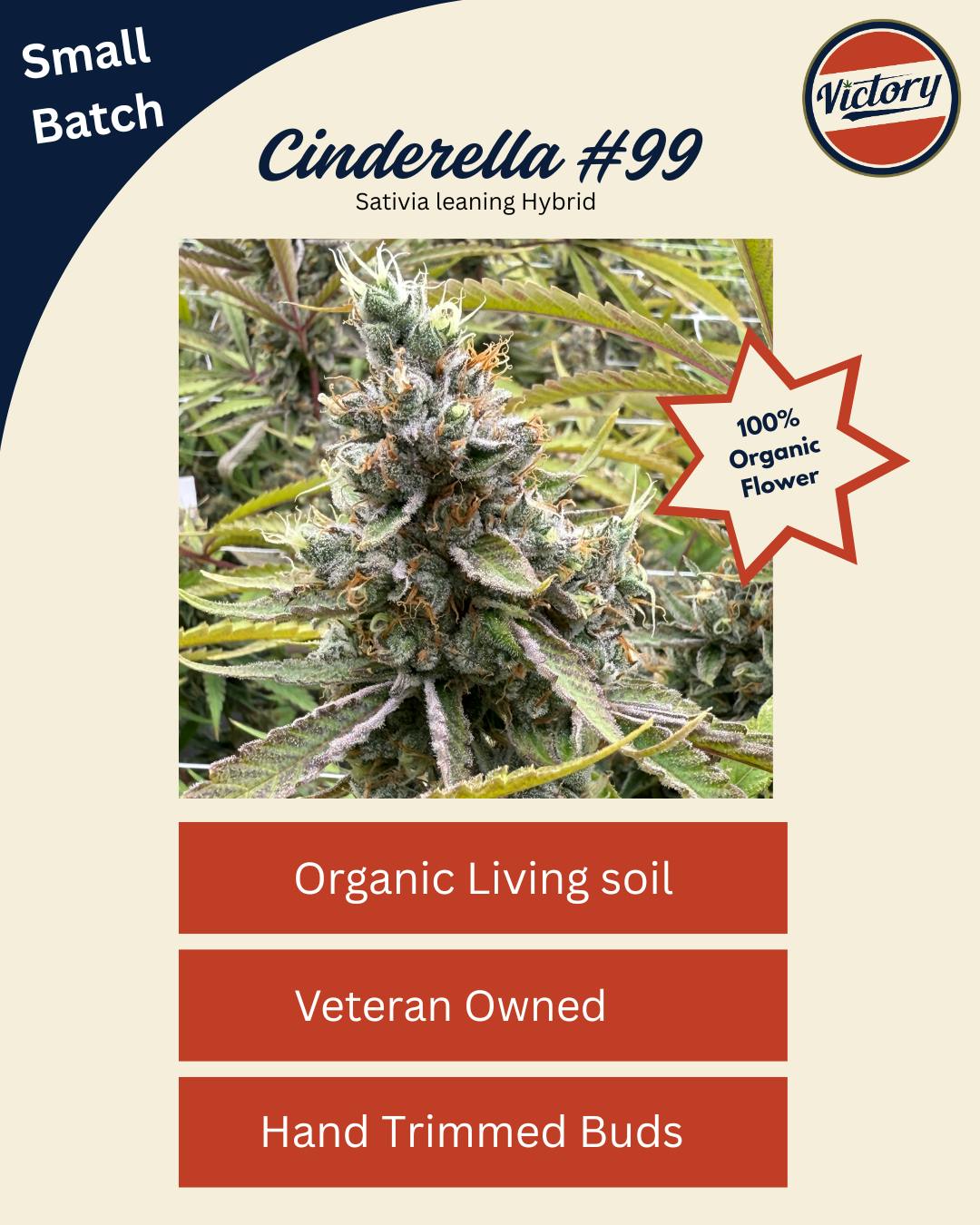 Cinderella 99 - 3.5g