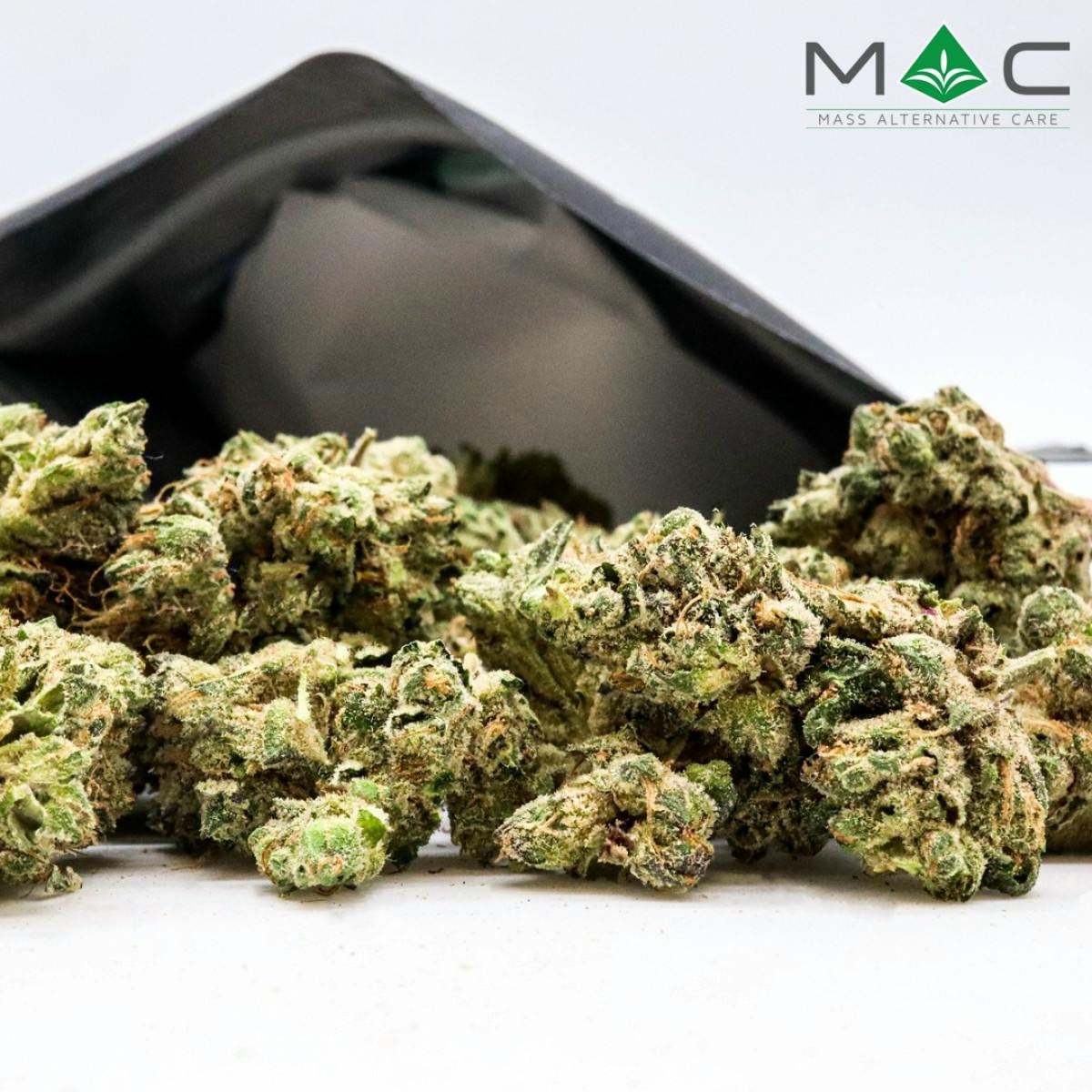 Zombie | 14g | Indica