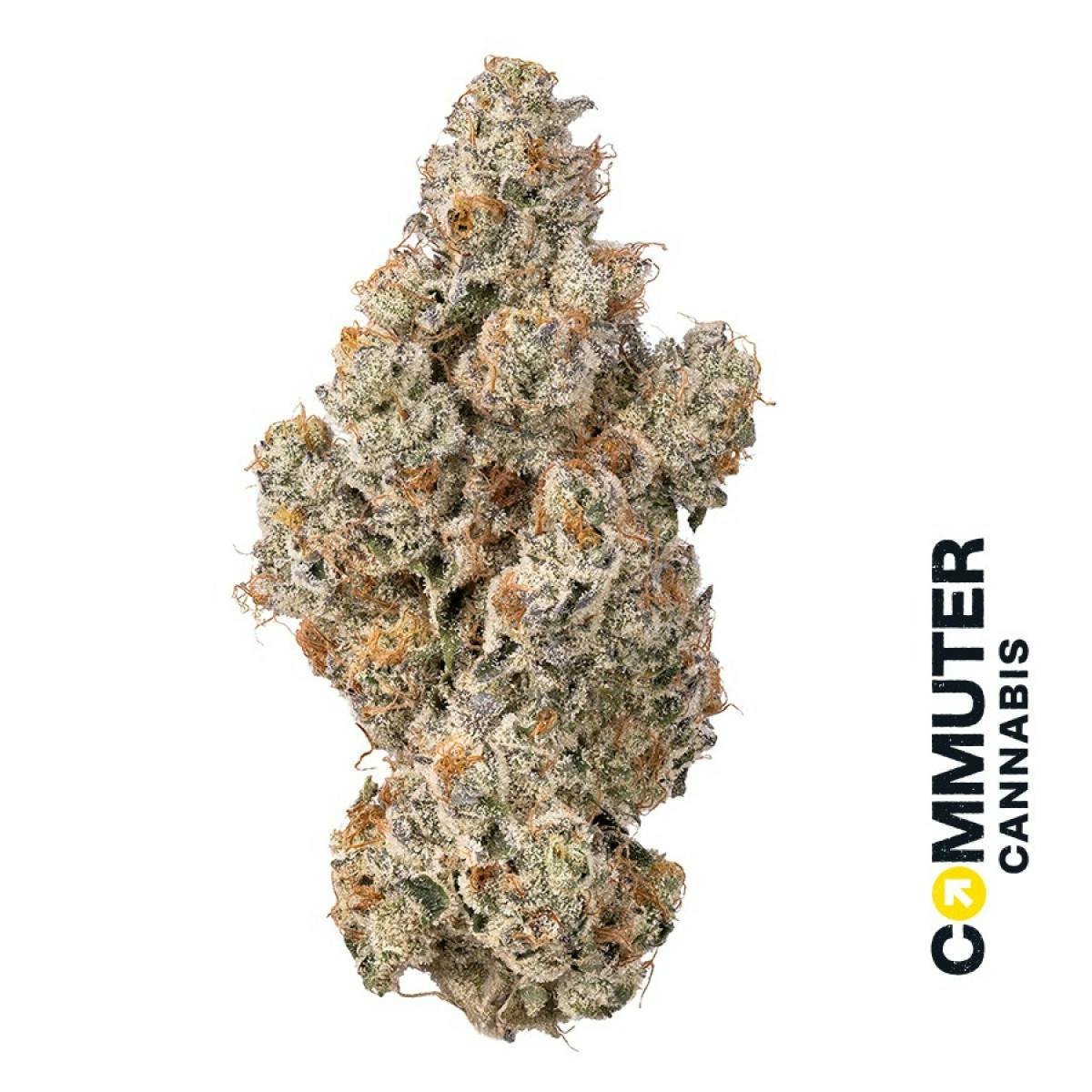 Lemon Balm | 3.5g | Sativa Dom. Hybrid