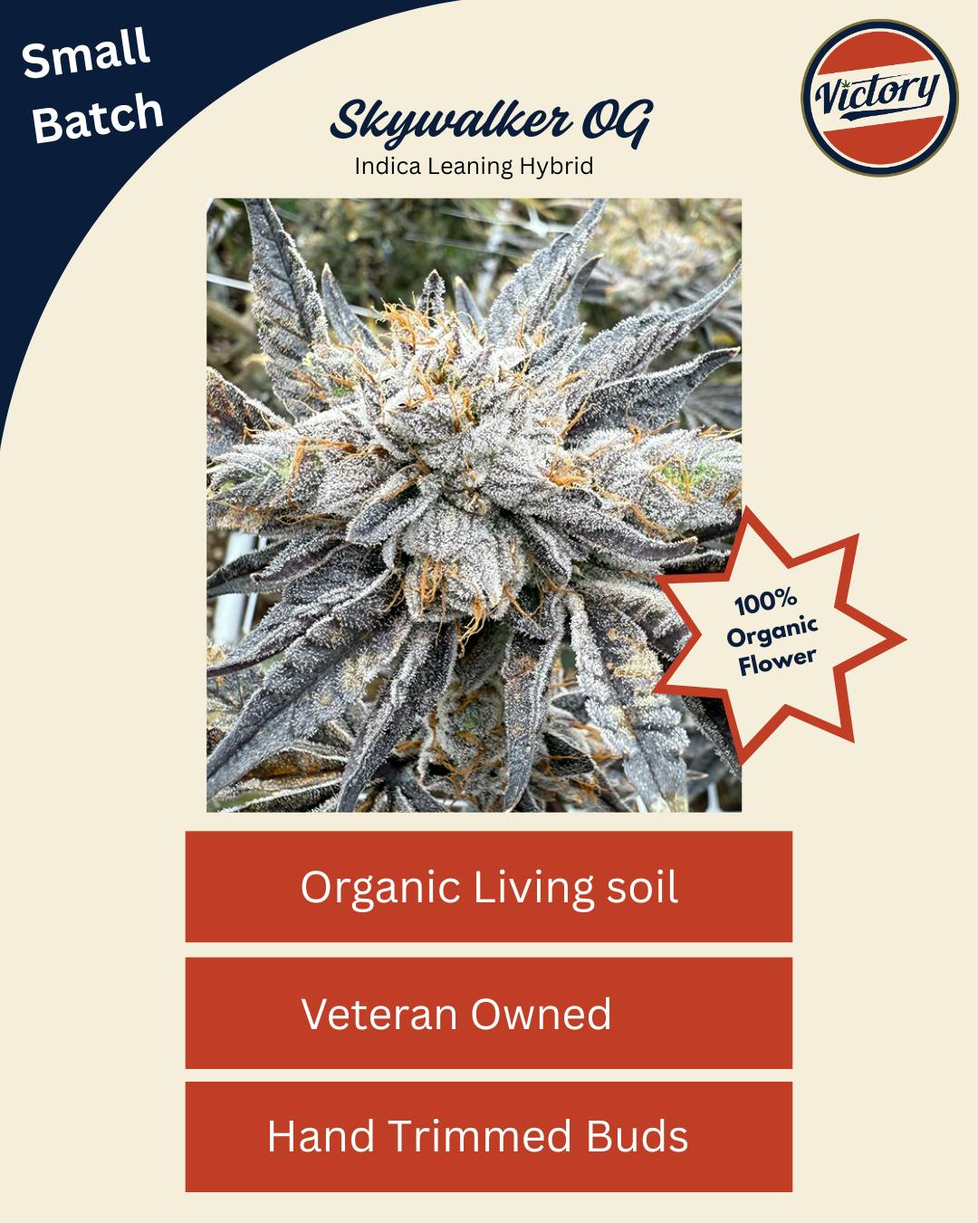 Skywalker OG - 3.5g