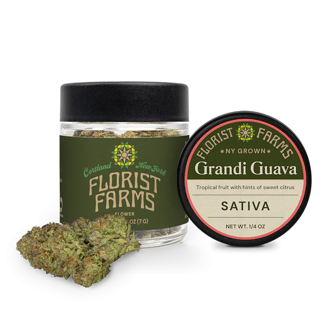 Florist Farms | Flower | 7g | Grandi Guava