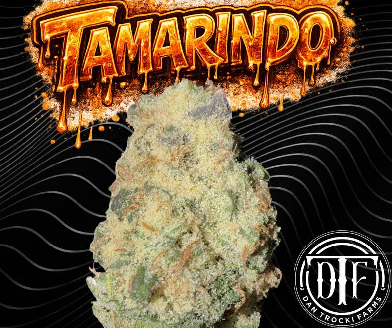 Tamarindo | 3.5G Flower
