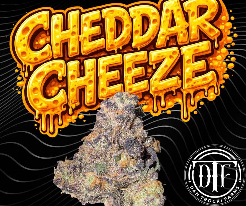 Cheddar Cheeze | 3.5G Flower