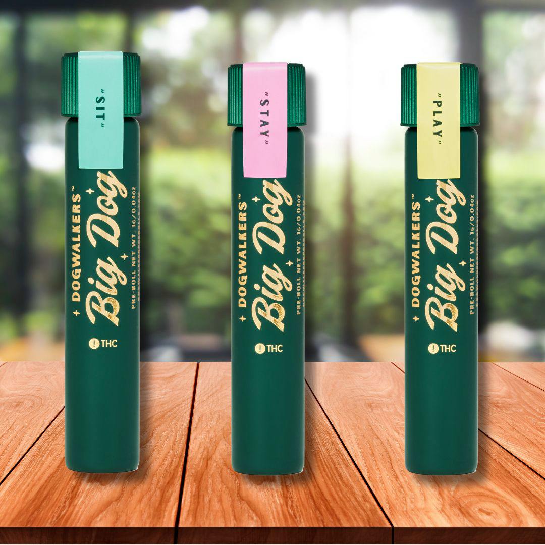 Runtz | 1G Pre-Roll | 1pk