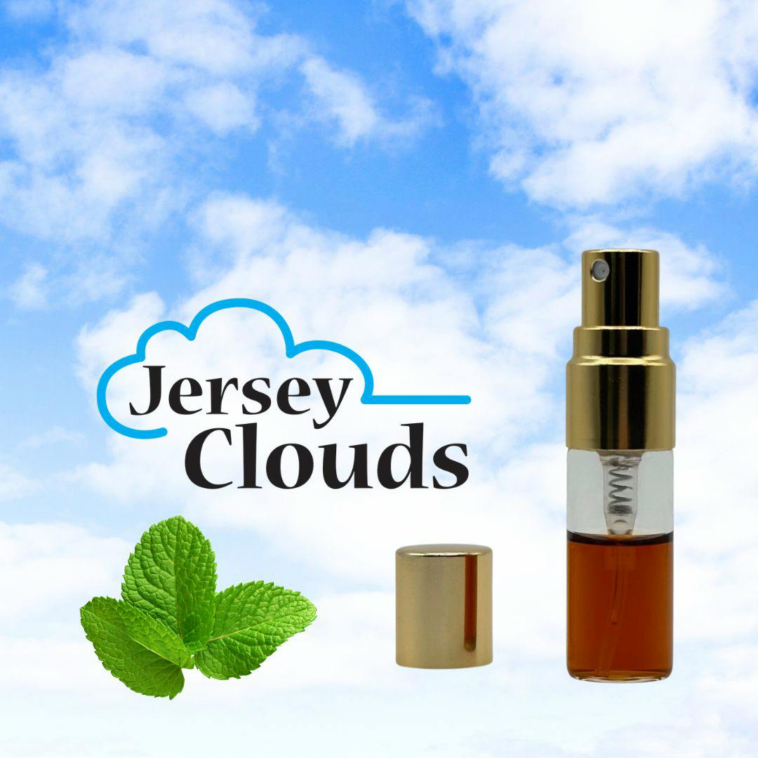 Mint Tincture Spray | 100MG THC