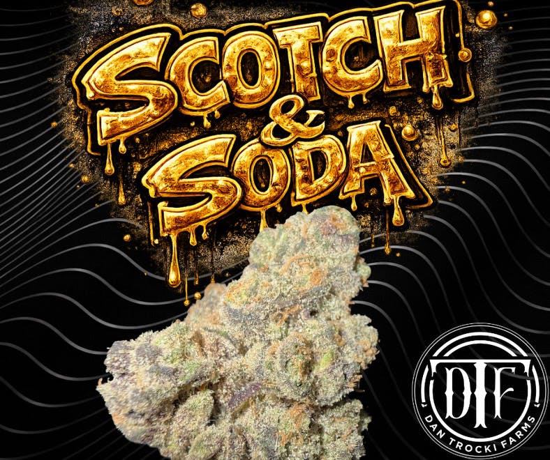 Scotch & Soda | 3.5G Flower