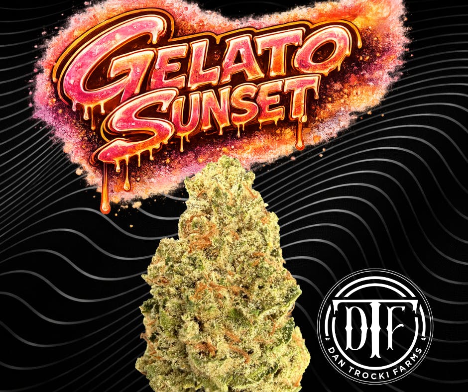 Gelato Sunset | 3.5G Flower