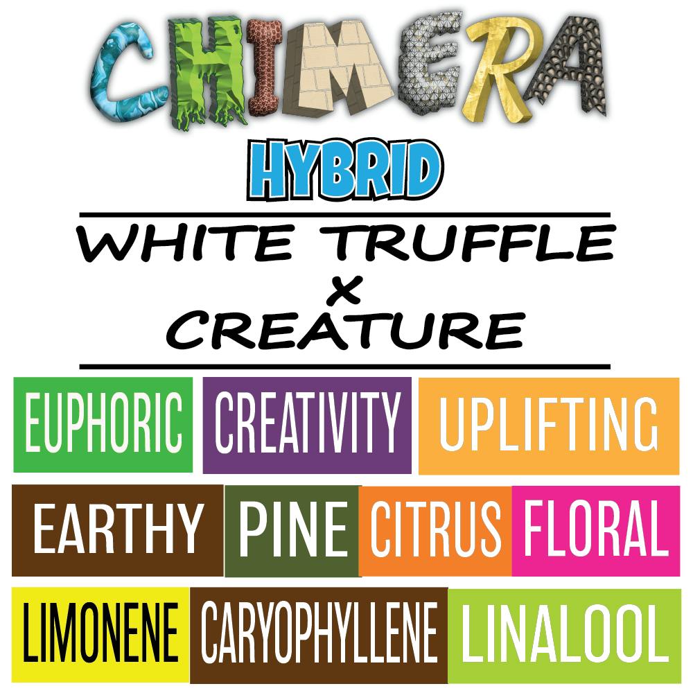Chimera 3.5g - Small Batch - 1/8oz in Lewiston
