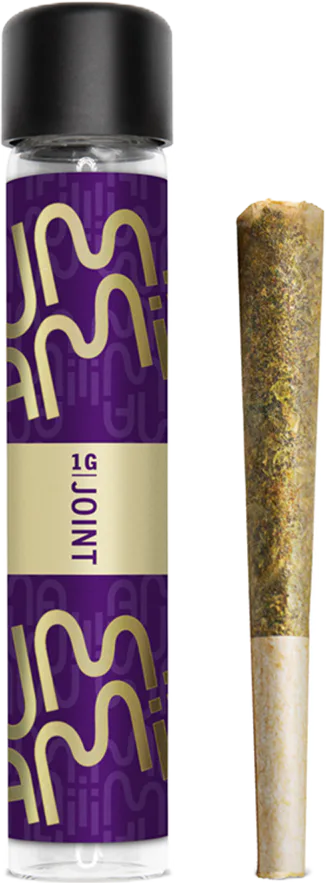 Umamii | Preroll | 1.2g | GMO